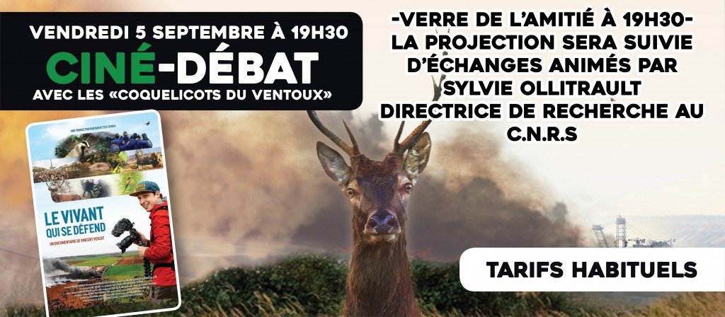 actualité ciné débat